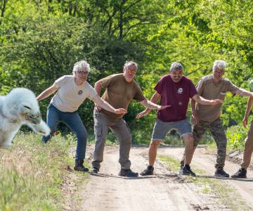 Beszámoló a KOE 2026 évi felmérések eredményeiről